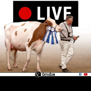 Livestream Advertising & Sponsorship