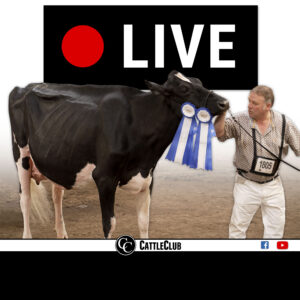 Live Show Advertising & Sponsorship
