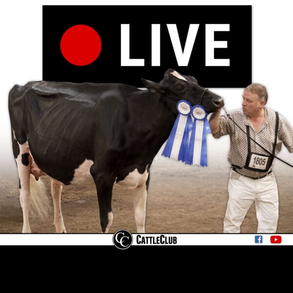Live Show Advertising & Sponsorship