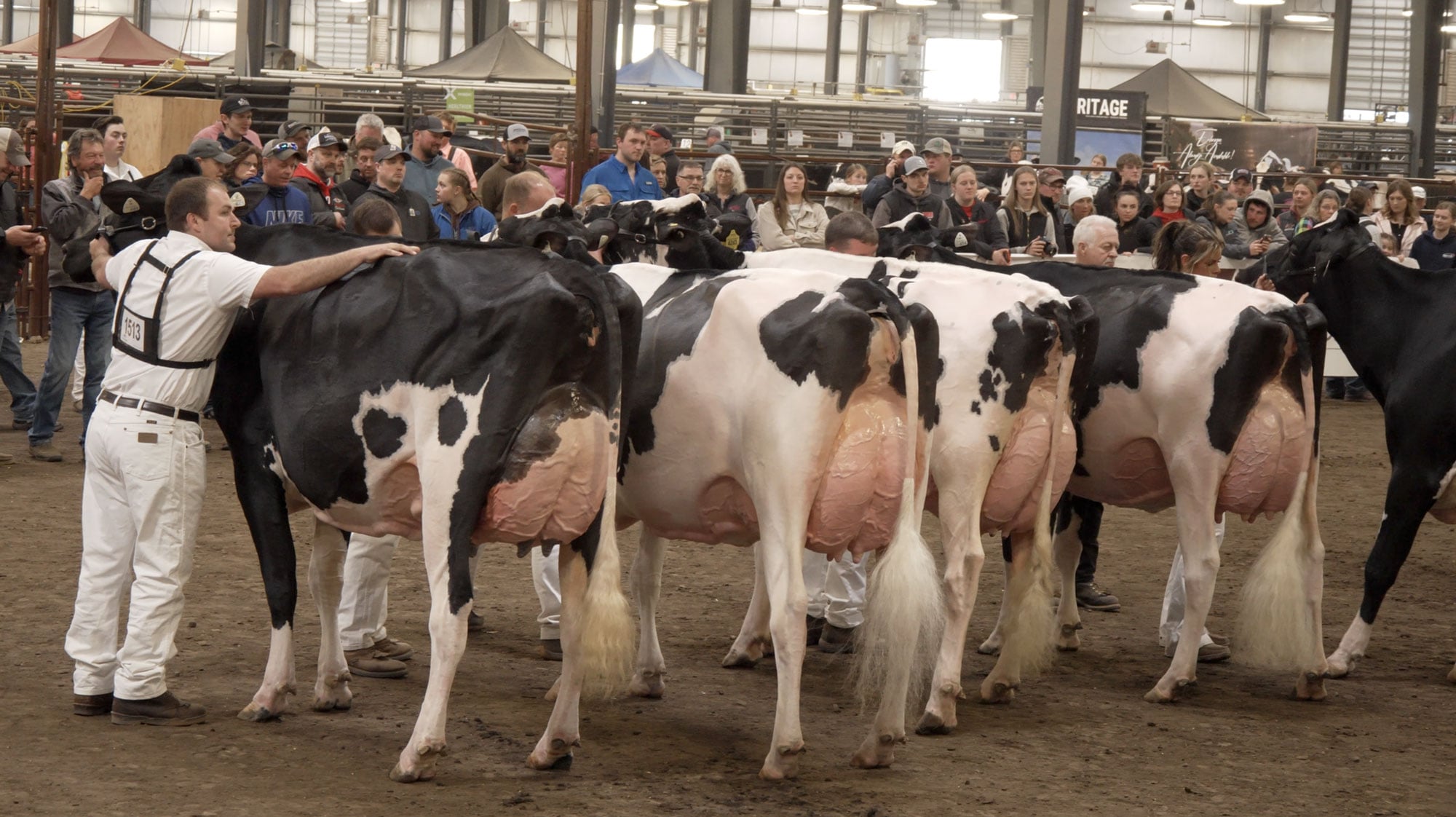 Club Cow Media - CattleClub
