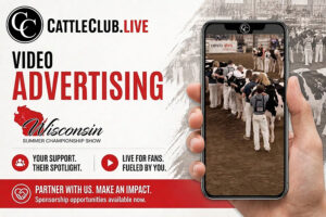Video Advertising - WI Summer Championship Show 2026